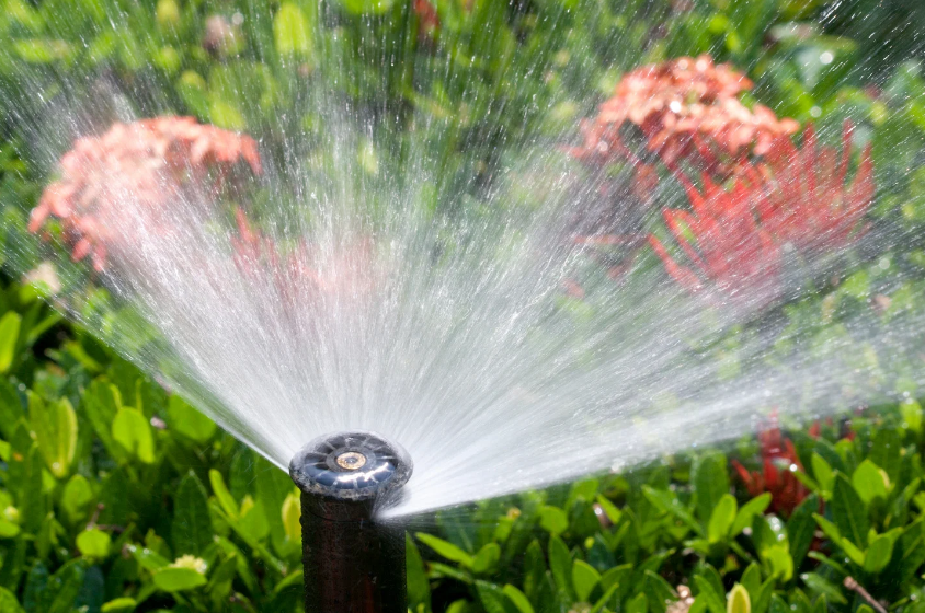 Wassersprinkler im Garten - Foto: Canva akaratwimages